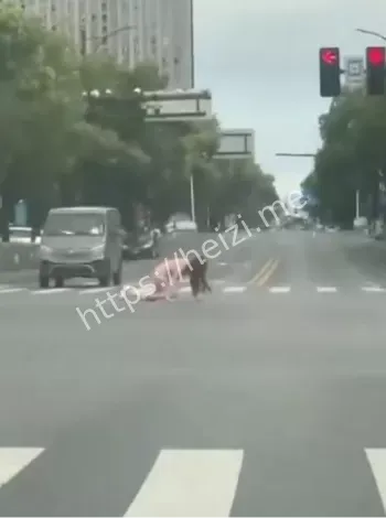 社会热议