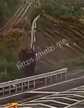 绍兴事故