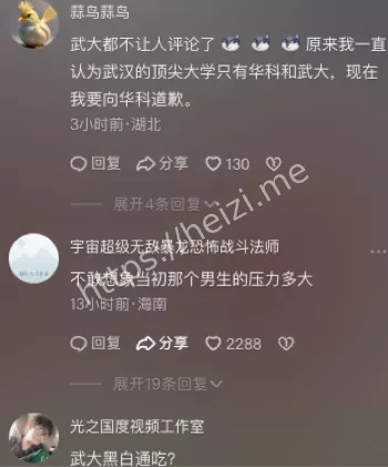 武大副校长