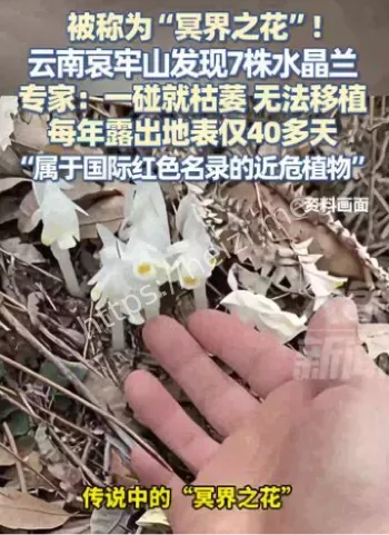 哀牢山