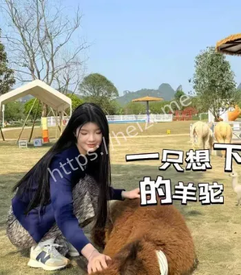 学生会主席