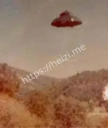 黑子网
