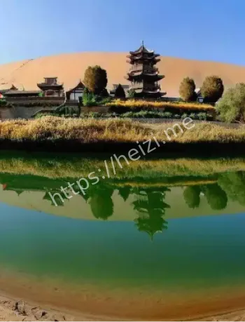 千年不枯