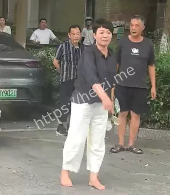 张梦迪