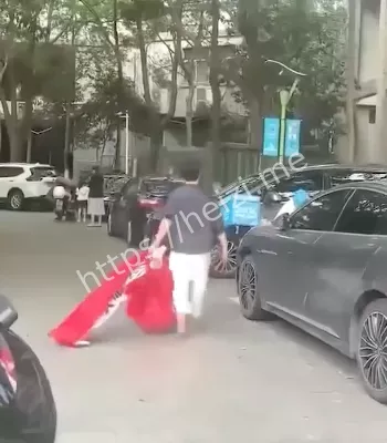 张梦迪