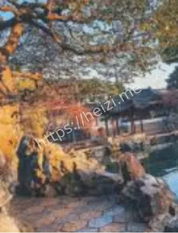 人骨挖掘
