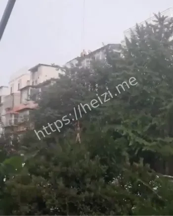 权益保障