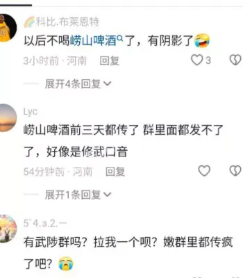 极品少妇