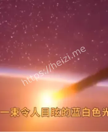 森林