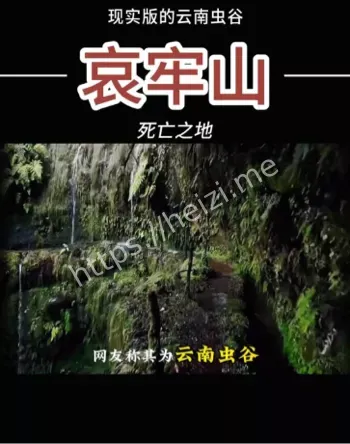 请勿迷信