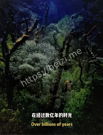 神秘部落