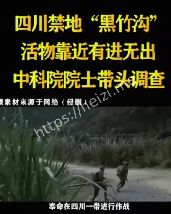 中国百慕大