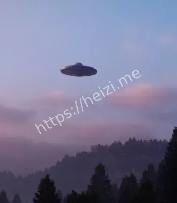 目击事件