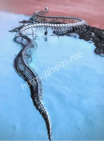 1962年浙江沿海