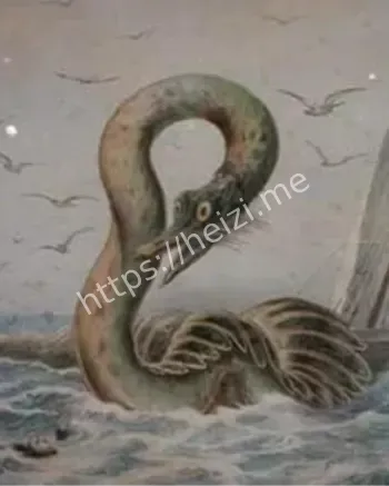 深海未解之谜