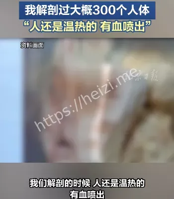 马路大
