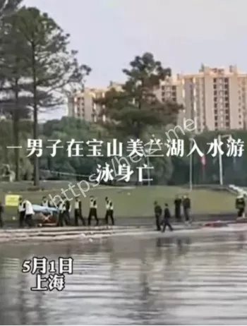 施工挖青蛇