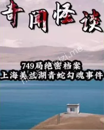 诡异身影