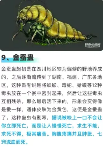 苗族文化