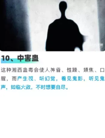 传统智慧