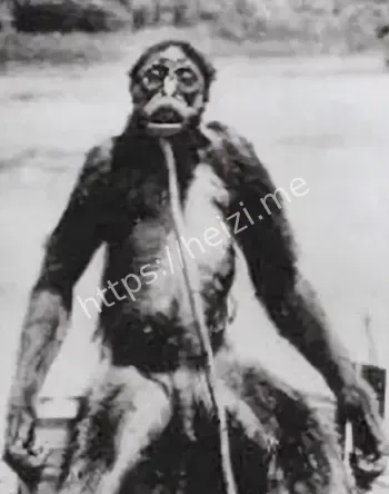 野人