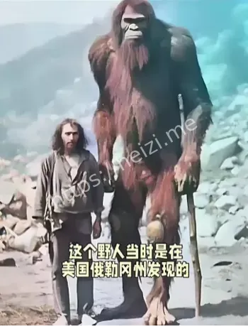 神秘野人踪迹