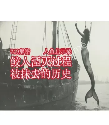 黑鳞鲛人