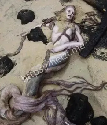 神秘生物