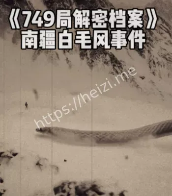 749局揭秘