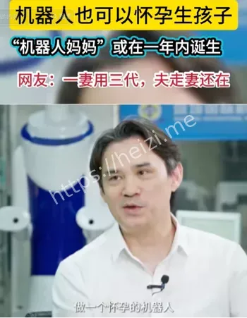子宫