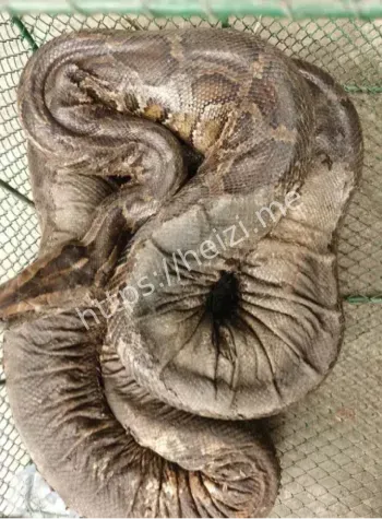 现场图片