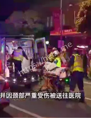 涉嫌毒驾