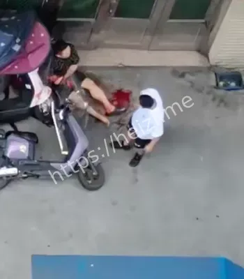 家庭惨剧