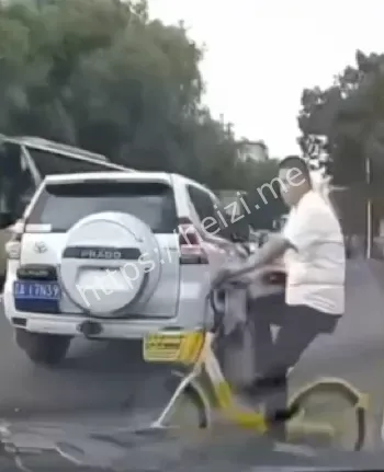 东北路怒