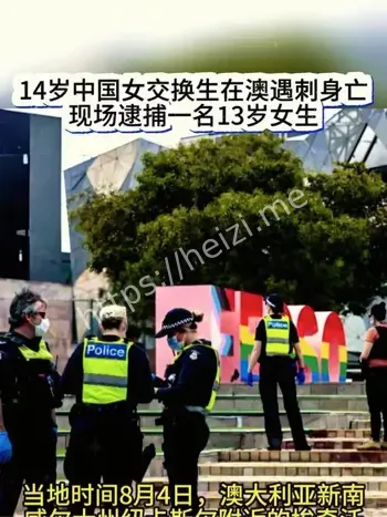 双汇玉米肠
