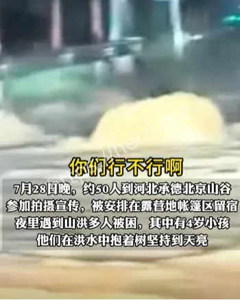 售楼发布会