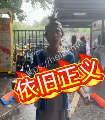 杨景媛
