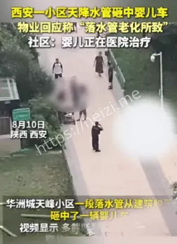社区管理