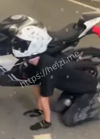 春风车主