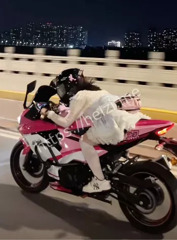 路怒症