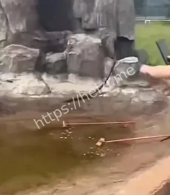 家属维权