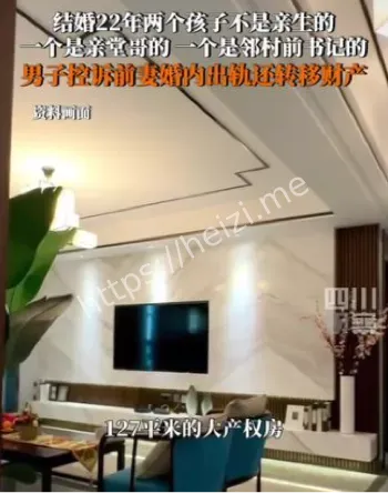 妻子欺诈