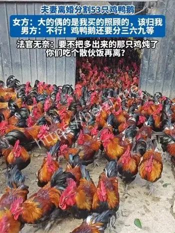 离婚