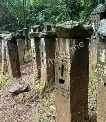 探险失踪