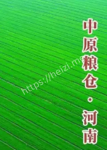 中原粮仓