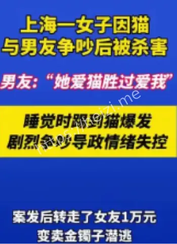 亲密关系暴力