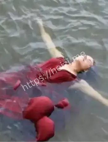 神秘木棒