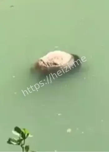 重庆唐家沱