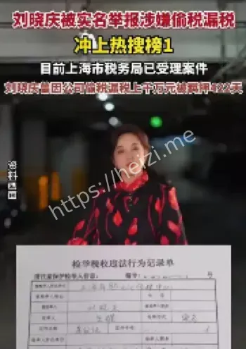 偷税漏税