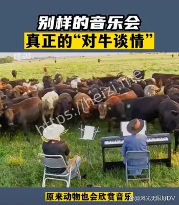 美国制裁